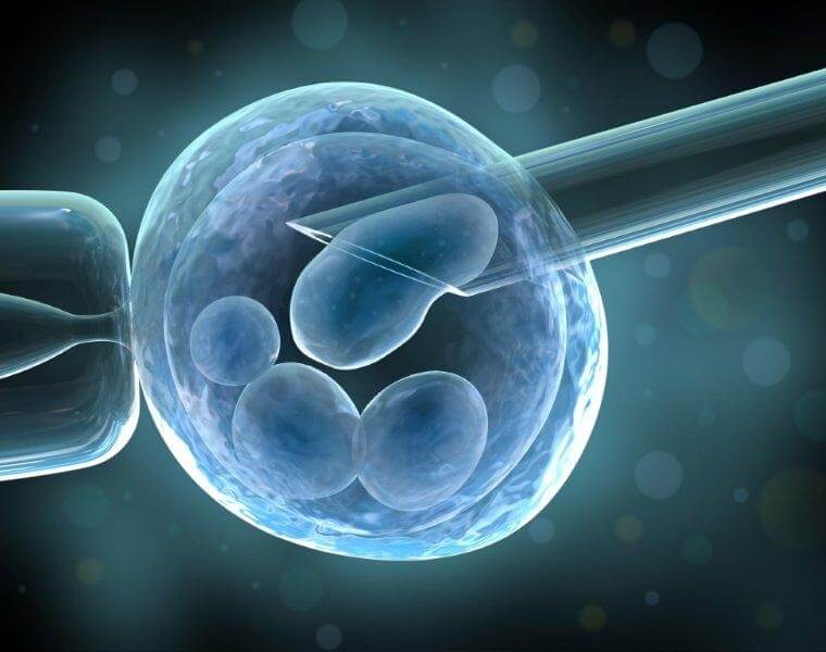fertilização in vitro clínica Humanizehealth