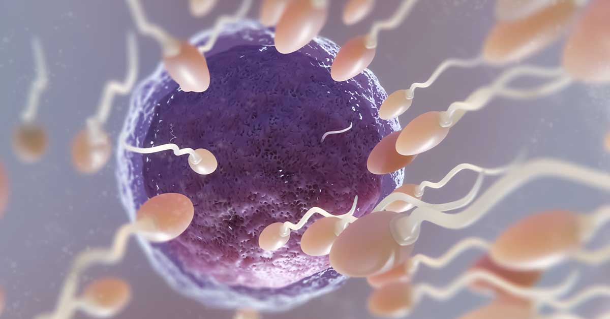 Fertilidade e Idade: O que Você Precisa Saber