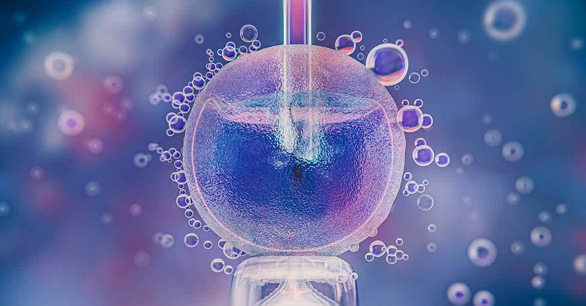 Técnicas Avançadas em Fertilização In Vitro