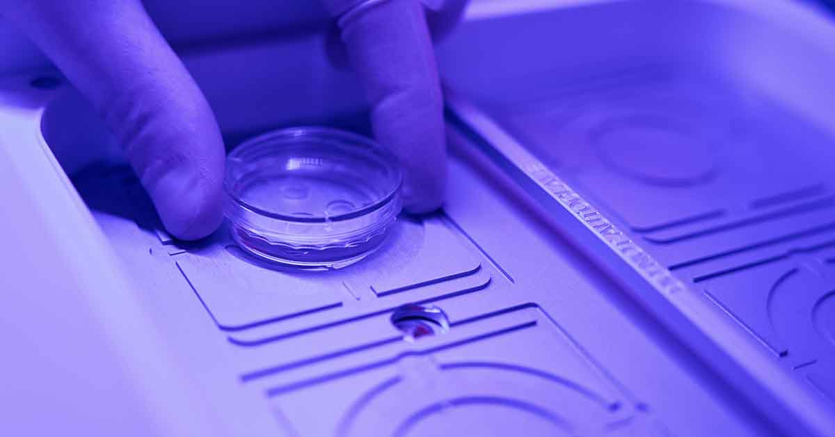 Como Funciona o Processo de Congelamento de Embriões?